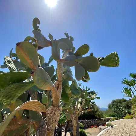 Anastasia Bed & Breakfast Santa Teresa Gallura