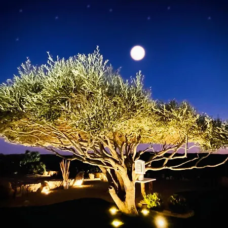 Anastasia Bed & Breakfast 4*