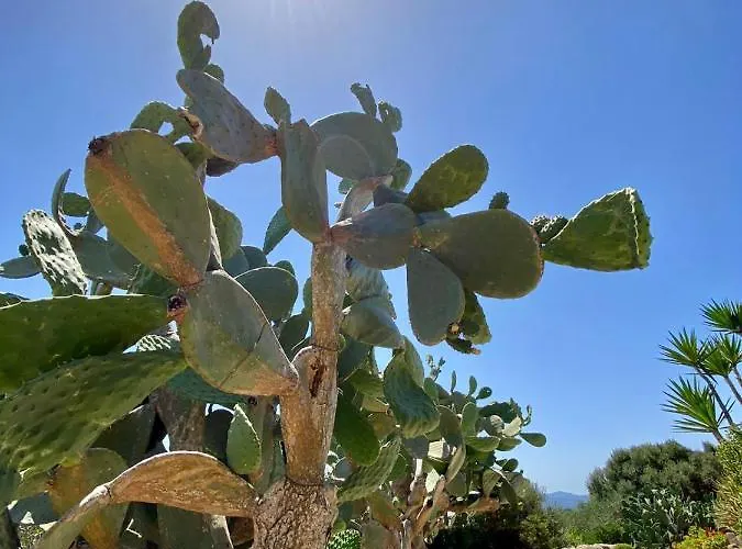 Anastasia Bed & Breakfast Santa Teresa Gallura