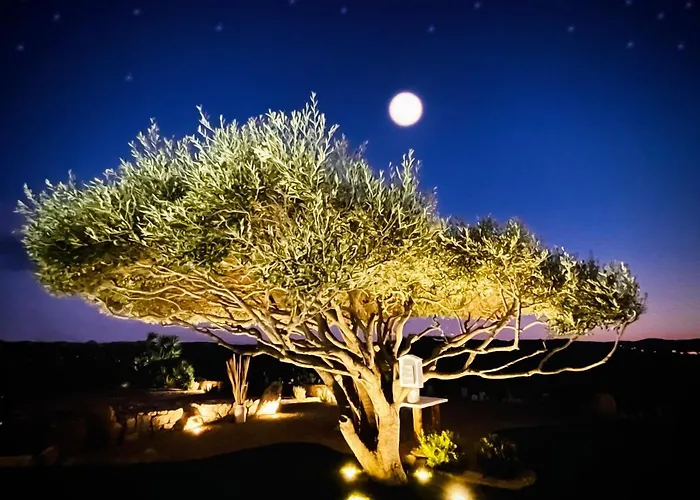 Anastasia Bed & Breakfast 4*