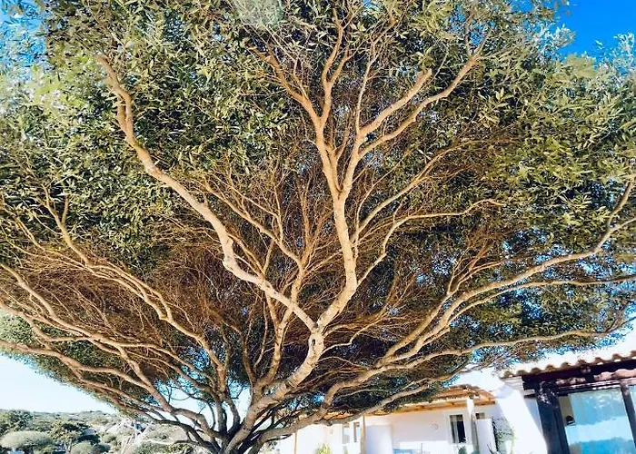 Bed & Breakfast Anastasia 4*