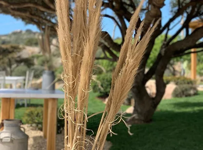 Bed & Breakfast Anastasia